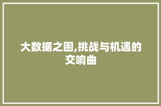 大数据之困,挑战与机遇的交响曲 SEO教程