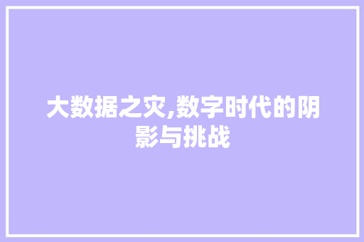 大数据之灾,数字时代的阴影与挑战 SEO教程