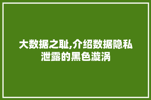 大数据之耻,介绍数据隐私泄露的黑色漩涡 建站教程