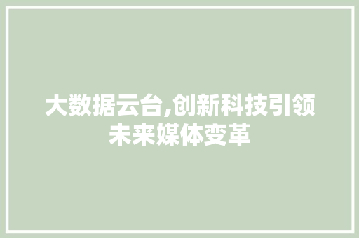 大数据云台,创新科技引领未来媒体变革 WordPress教程