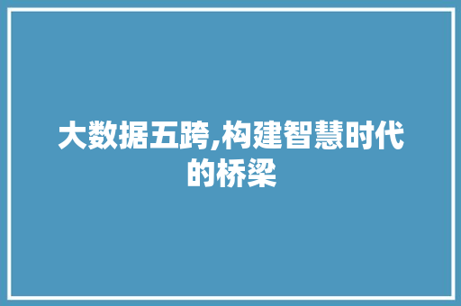 大数据五跨,构建智慧时代的桥梁 建站教程