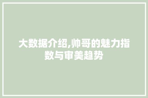 大数据介绍,帅哥的魅力指数与审美趋势 友链在线