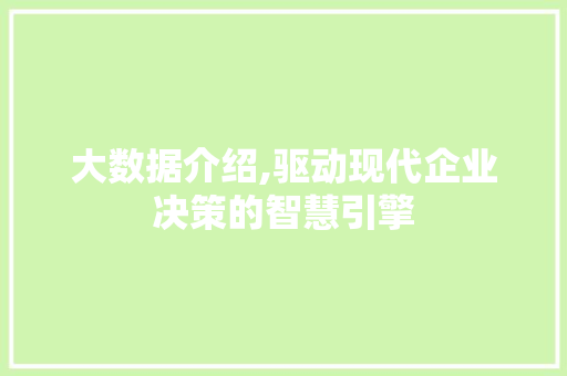大数据介绍,驱动现代企业决策的智慧引擎 友链在线