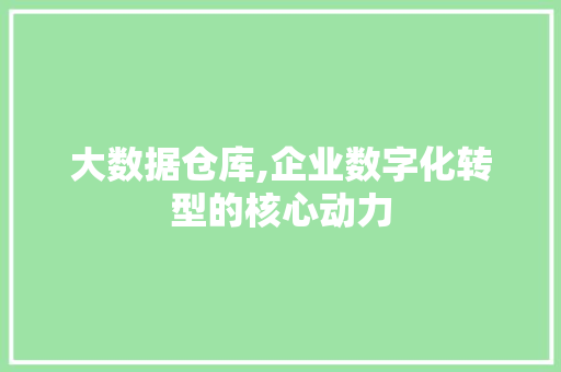 大数据仓库,企业数字化转型的核心动力 WordPress教程