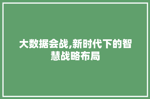大数据会战,新时代下的智慧战略布局 WordPress教程