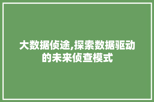 大数据侦途,探索数据驱动的未来侦查模式 建站教程