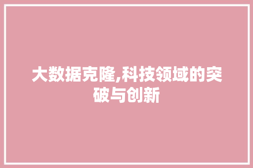 大数据克隆,科技领域的突破与创新 SEO教程