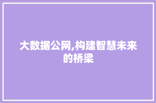 大数据公网,构建智慧未来的桥梁 建站教程