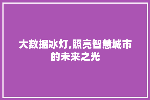 大数据冰灯,照亮智慧城市的未来之光 友链在线