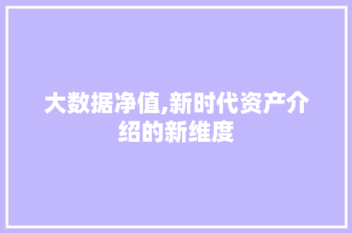 大数据净值,新时代资产介绍的新维度 SEO教程