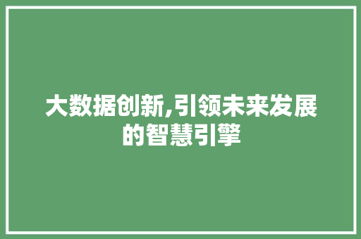 大数据创新,引领未来发展的智慧引擎 友链在线
