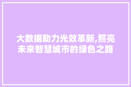 大数据助力光效革新,照亮未来智慧城市的绿色之路 友链在线