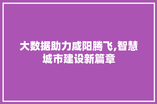 大数据助力咸阳腾飞,智慧城市建设新篇章 友链在线