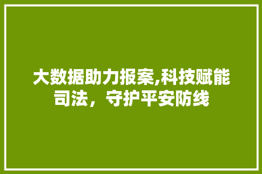 大数据助力报案,科技赋能司法，守护平安防线
