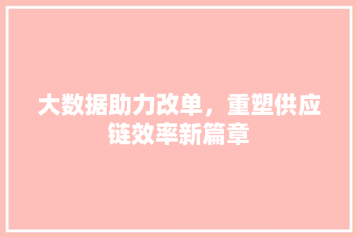 大数据助力改单，重塑供应链效率新篇章
