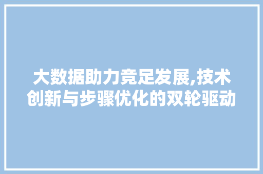 大数据助力竞足发展,技术创新与步骤优化的双轮驱动 SEO教程