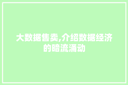 大数据售卖,介绍数据经济的暗流涌动 建站教程