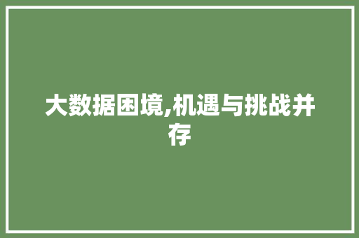 大数据困境,机遇与挑战并存 Web前端