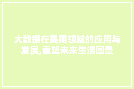 大数据在民用领域的应用与发展,重塑未来生活图景 WordPress教程
