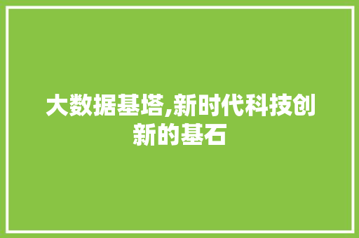 大数据基塔,新时代科技创新的基石 WordPress教程