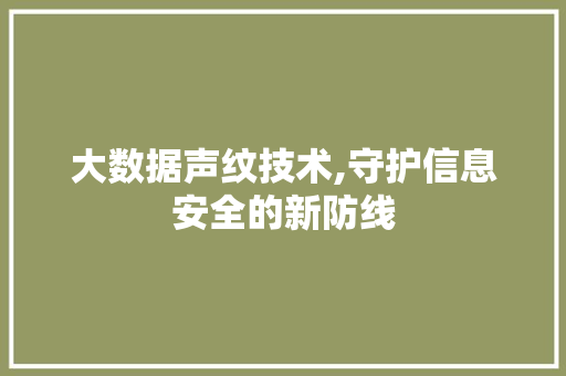 大数据声纹技术,守护信息安全的新防线 建站教程