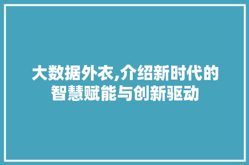 大数据外衣,介绍新时代的智慧赋能与创新驱动 Web前端