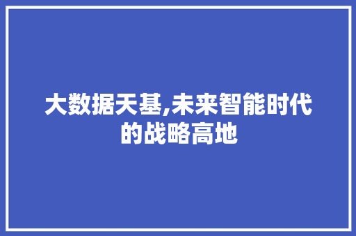 大数据天基,未来智能时代的战略高地 SEO教程