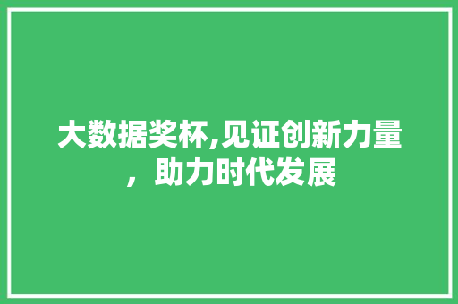 大数据奖杯,见证创新力量，助力时代发展 Web前端