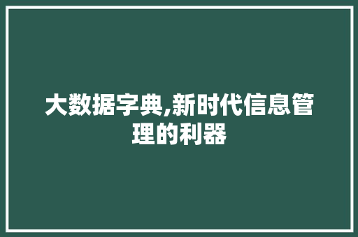 大数据字典,新时代信息管理的利器 Web前端