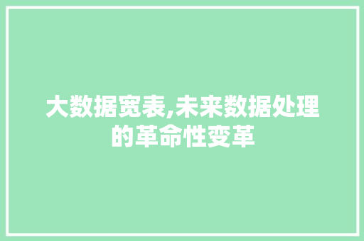 大数据宽表,未来数据处理的革命性变革 SEO教程