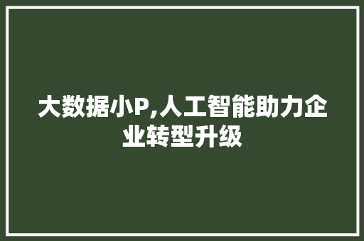 大数据小P,人工智能助力企业转型升级