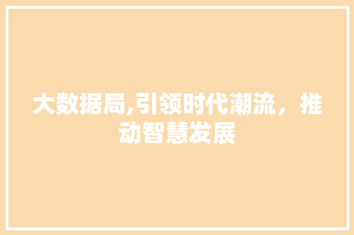大数据局,引领时代潮流，推动智慧发展