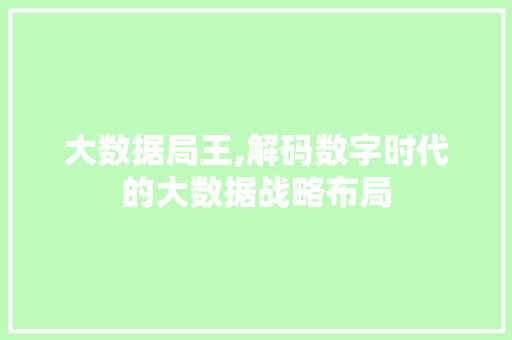 大数据局王,解码数字时代的大数据战略布局