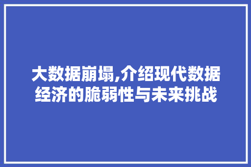 大数据崩塌,介绍现代数据经济的脆弱性与未来挑战
