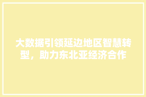 大数据引领延边地区智慧转型，助力东北亚经济合作