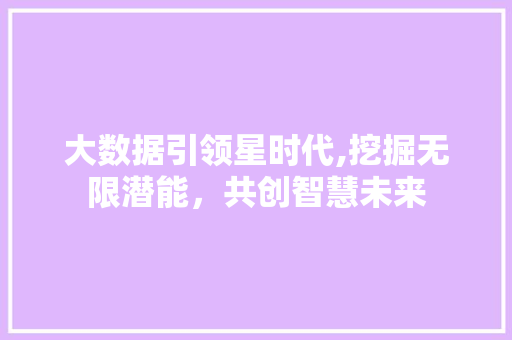 大数据引领星时代,挖掘无限潜能，共创智慧未来
