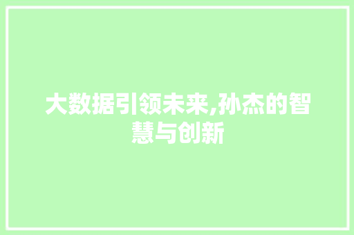 大数据引领未来,孙杰的智慧与创新