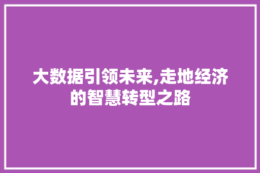 大数据引领未来,走地经济的智慧转型之路