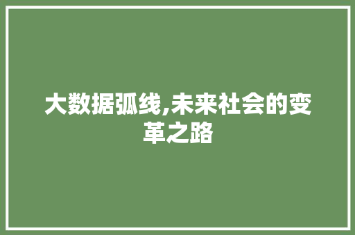大数据弧线,未来社会的变革之路