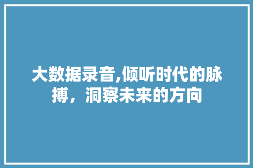 大数据录音,倾听时代的脉搏，洞察未来的方向 服务器/数据库