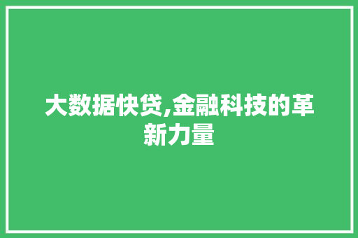 大数据快贷,金融科技的革新力量 Web前端