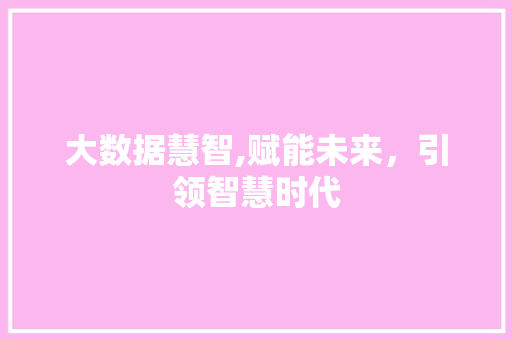 大数据慧智,赋能未来，引领智慧时代 友链在线