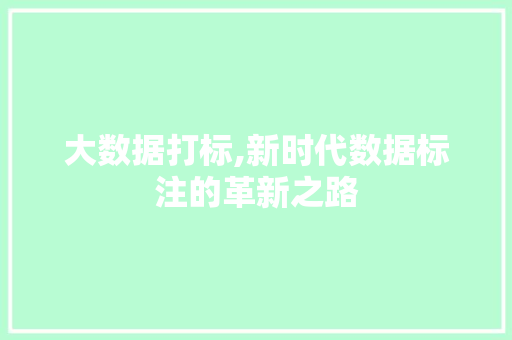 大数据打标,新时代数据标注的革新之路