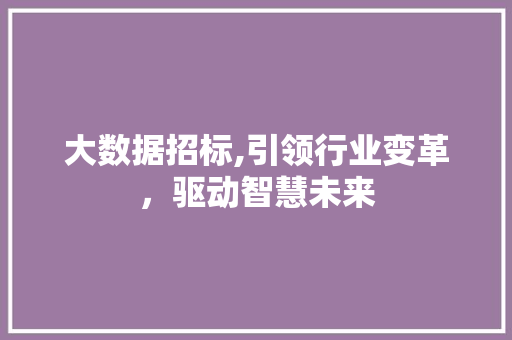 大数据招标,引领行业变革，驱动智慧未来 服务器/数据库