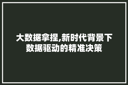 大数据拿捏,新时代背景下数据驱动的精准决策