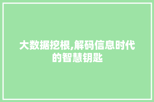 大数据挖根,解码信息时代的智慧钥匙 SEO教程