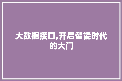 大数据接口,开启智能时代的大门 SEO教程