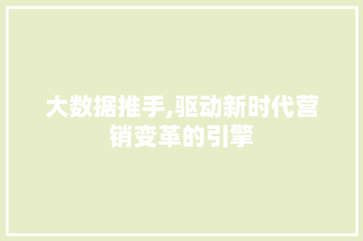 大数据推手,驱动新时代营销变革的引擎