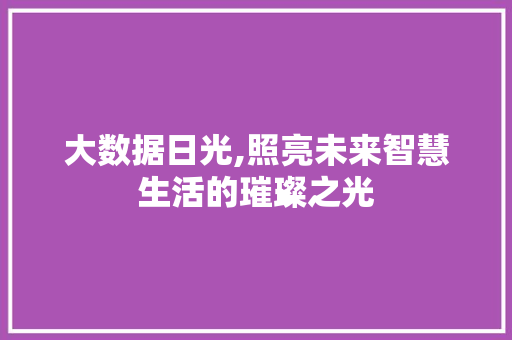 大数据日光,照亮未来智慧生活的璀璨之光