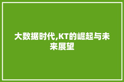 大数据时代,KT的崛起与未来展望